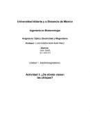 Óptica, Electricidad y Magnetismo