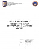 Creación de una empresa consultora verde en la región de Tarapaca