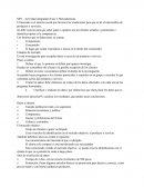 MIV - Actividad integradora Fase 3. Mercadotecnia