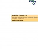 Cuadro comparatio neurosis obsesiva histerica y fobia