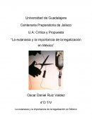 La eutanasia y la importancia de la legalización en México