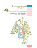 Construccion de un diagrama Causal.