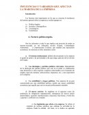 Influencias y variables que afectan a la marcha de la empresa