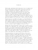 Biodiversidad, según muchas definiciones que he visto a lo largo de estos años de educación que he recibido