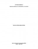Aspectos sanitarios en la alimentación y la nutrición.