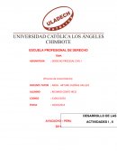 DERECHO PROCESAL CIVIL I. LA FOTO PUBLICITARIA