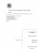 GUIA PARA LA CONFECCION DEL INFORME DE PRÁCTICA LABORAL