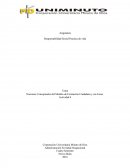 Nociones Conceptuales del Modelo de Formación Ciudadana y sus Faces.