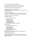 ¿En qué consiste el ambiente de mercadotecnia?