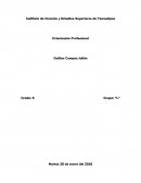 Instituto de Ciencias y Estudios Superiores de Tamaulipas