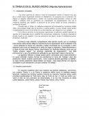 El TRABAJO EN EL MUNDO ANDINO (Algunas Apreciaciones)