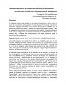 Causas y consecuencias de la anemia por deficiencia de hierro en niños.