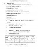 PLAN DE PRACTICAS PRE PROFESIONALES.