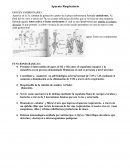 Localizado en el tórax y separado de la cavidad abdominal por el diafragma. Entre sus componentes principales están las siguientes estructuras básicas:
