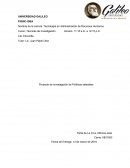 PROYECTO DE TECNICAS DE INVESTIGACION