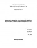 Proyecto plan para una apertura de escuela futbolistica