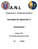 Identifica las ideas principales del tema Desarrollo social