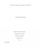 FALTA DE ORDEN Y COORDINACION DE LOS BOGOTANOS EN EL “BOGOTAZO”