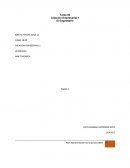 CREACIÓN EMPRESARIAL 1