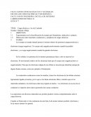 Experimentar con la electrificación de cuerpos por frotamiento, inducción y contacto.