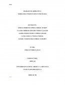 MODELO DE INTERVENCION EN PSICOLOGIA