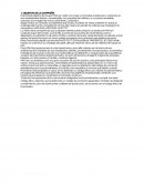 INVESTIGACION CASO MANGO