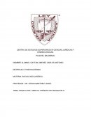 ENSAYO DEL LIBRO EL PRÍNCIPE DE MAQUIAVELO.