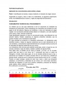FUNDAMENTOS TEORICOS DEL PROCEDIMIENTO
