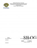 Trabajo de silogismo