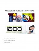 PROYECTO FINAL HIGIENE INDUSTRIAL. PUESTO DE TRABAJO CONDUCTOR PROFESIONAL DE CAMIONES