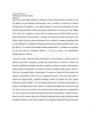 Organizacion politica.