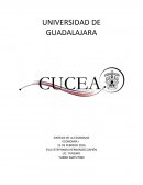 Sintesis de economia