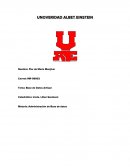 BASE DE DATOS ARTISAN