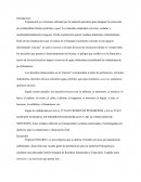 DESECHOS PETROLEROS Y DERRAMES TOXICOS