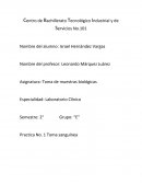 Toma de muestra sanguinea.