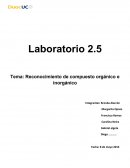 Reconocimiento de compuesto orgánico e inorgánico