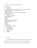 EL DISEÑO INDUSTRIAL EN LA EMPRESA POTOSINA