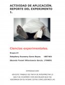 Actividad de aplicación. Reporte del experimento. Caso: una mujer que fue asesinada en su hogar