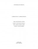 Cambios fisicos y quimicos.