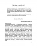 Metales y metalurgia