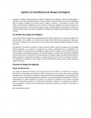 Capítulo 12: Identificación de Riesgos Estratégicos