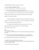 Examen Pirometalúrgia