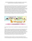 DOCUMENTO REQUERIMIENTOS DE LOS ACTORES Y NECESIDADES DE LA RED LOGISTICA ASOCIADO AL PROYECTO DE FORMACION Y MI PROYECTO DE VIDA.