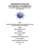 PROCESOS CONSTITUCIONALES: ACCION DE AMPARO Y ACCION DE INCONSTITUCIONALIDAD