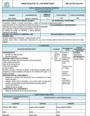 PLAN DE DESTREZAS CON CRITERIO DE DESEMPEÑO