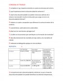 Trabajo de ciencias de la tierra