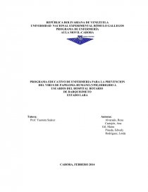PROGRAMA EDUCATIVO DE ENFERMERIA PARA LA PREVENCION DEL VIRUS DE PAPILOMA HUMANO (VPH) DIRIGIDO A. Página 1