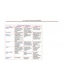 Cuadro comparativo generacional