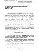 DEMANDA EJEC. MERCANTIL NUEVO CODIGO OSCAR.