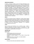 OBJETIVO DEL NEGOCIO